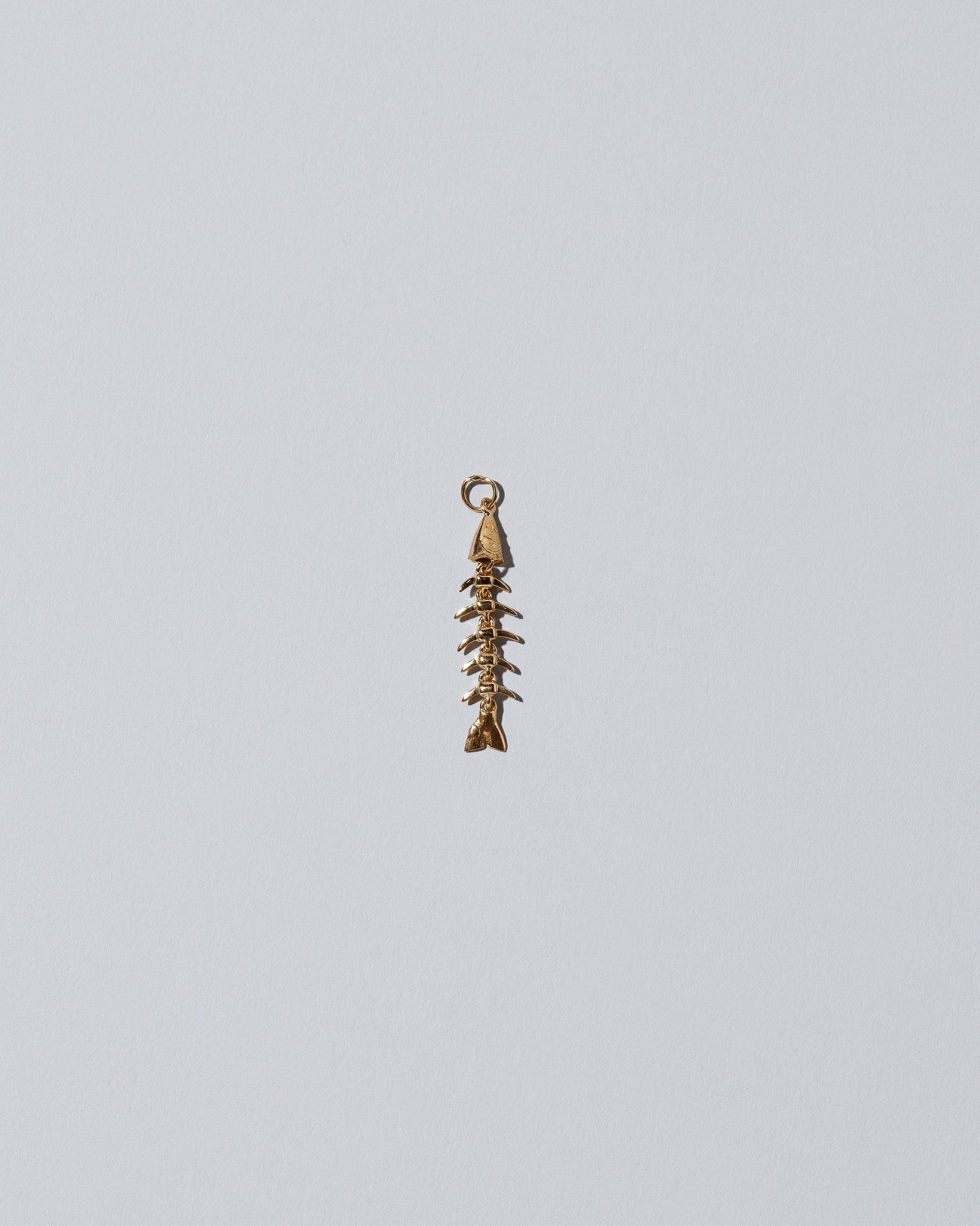 Fish Bone Charm  on light colored background