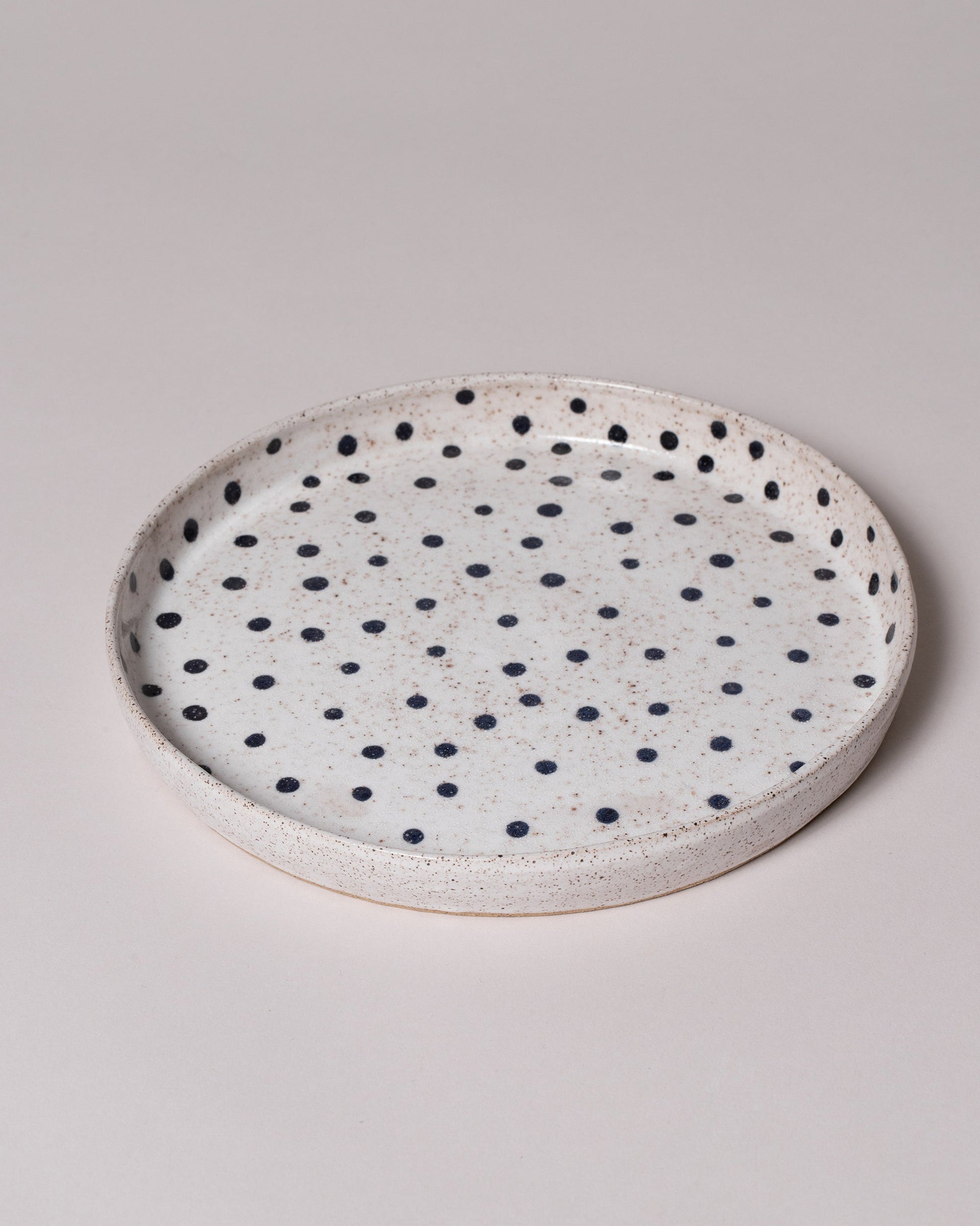 Recreation Center Dot Dinner Plate on light color background.