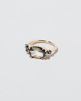 Autumnal Ring on light color background.