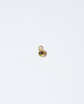 Birthstone Charm on light color background.