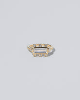 Panorama Ring on light color background.