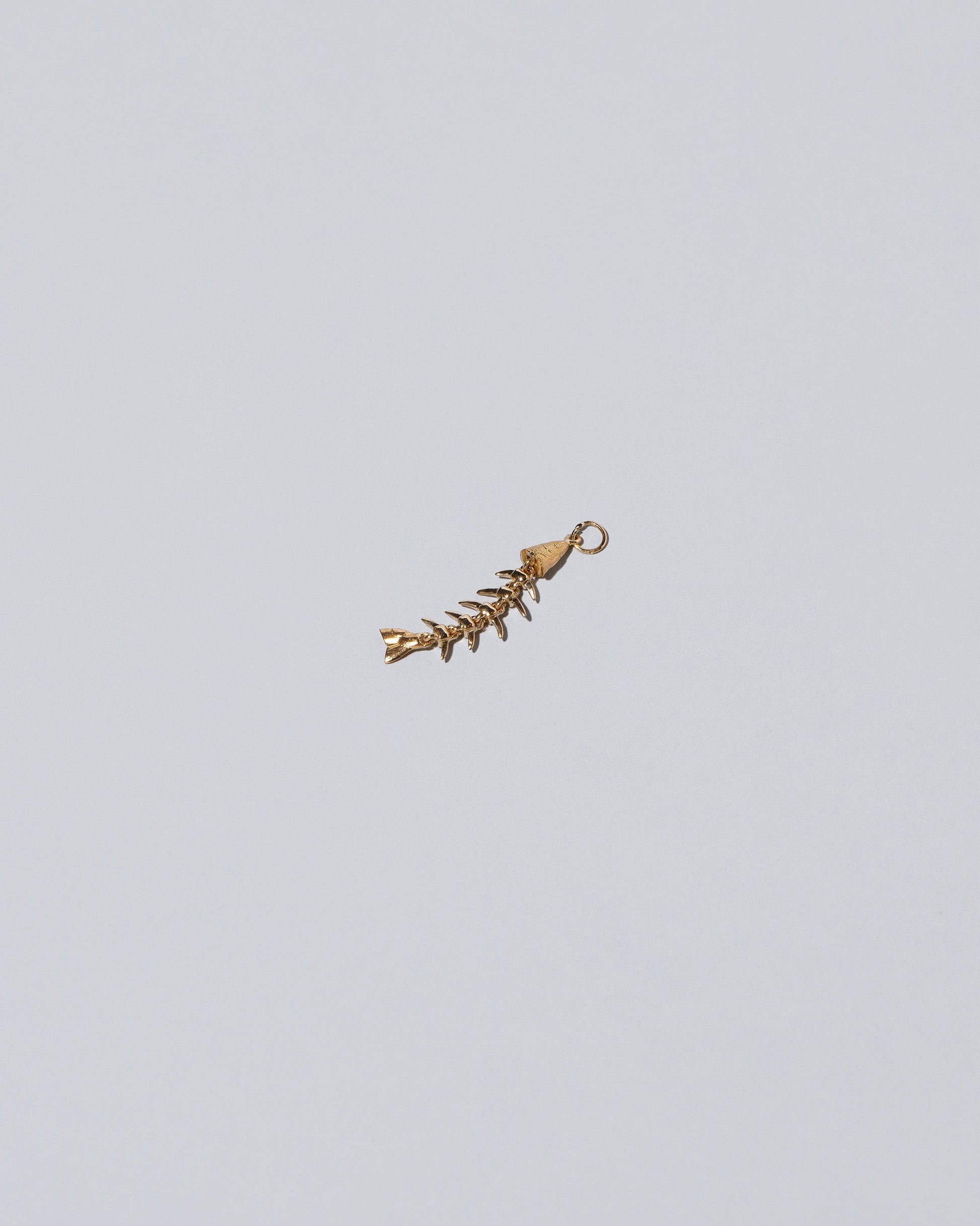 Fish Bone Charm  on light colored background