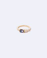Grice's Ring on light color background.