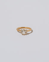 Coupé Ring on light color background.
