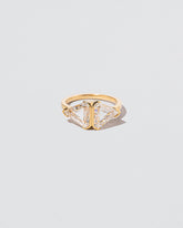 Singularity Ring on light color background.