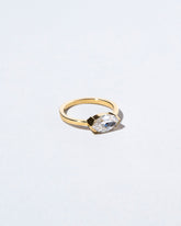 View from the side of the Brum Ring on light color background.