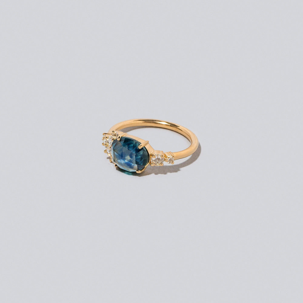 product_details:: Fauna Rings on light color background.