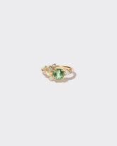 Vega Ring - Tourmaline on light colored background.