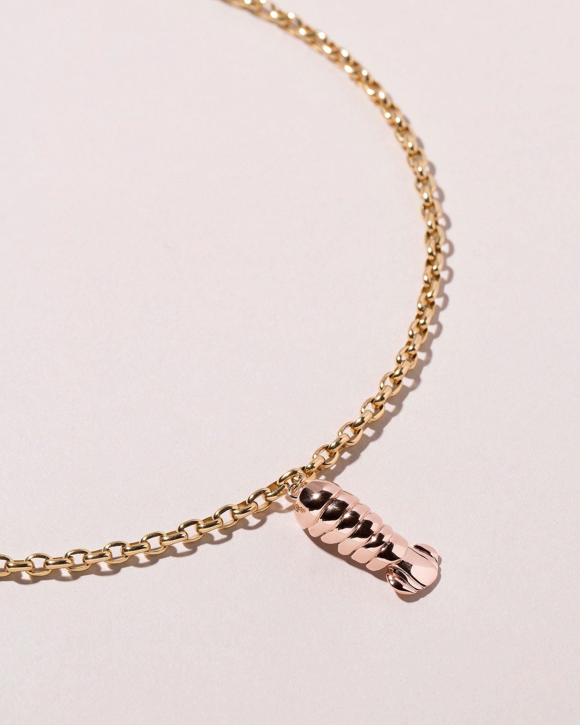 Detail view of the Lobster Tail Charm with the Short Loop Chain Necklace on light color background.