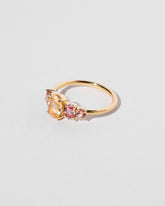 Echo Ring on light color background.