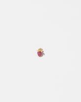 Strawberry Charm - Wild on light color background.