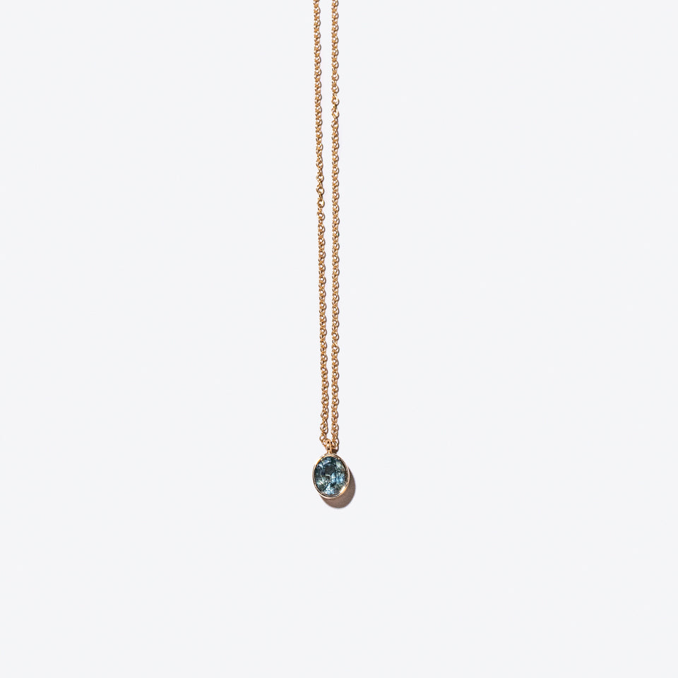 product_details::Product photo of Barracuda Necklace on a light color background