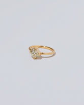 View from the side of the Tendu Ring on light color background.