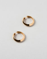 Accordion Hoops on light color background.
