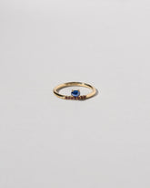 Stacked Ring - Sapphire & Ant Hill Garnet on light color background.