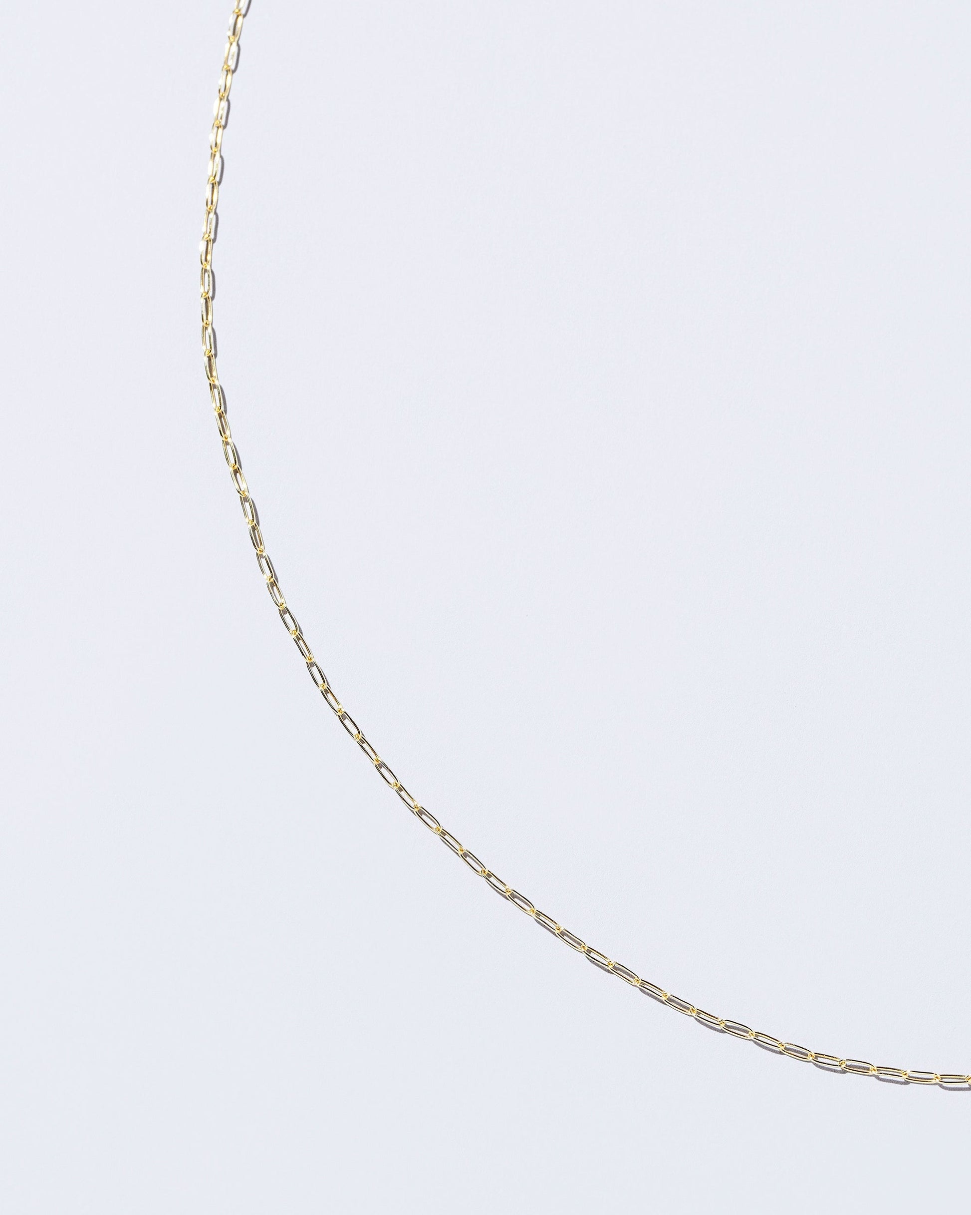 Oval Chain Necklace on light color background.