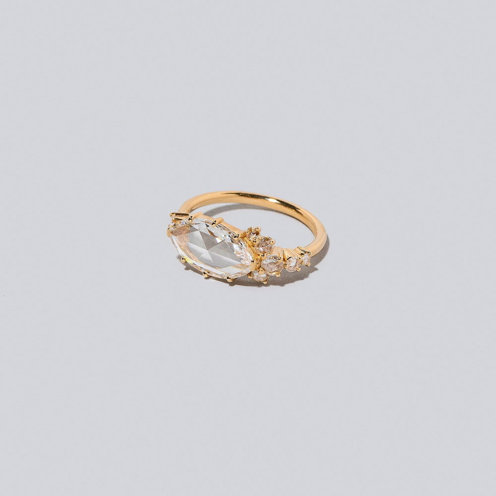 product_details:: Tend Rings on light color background.