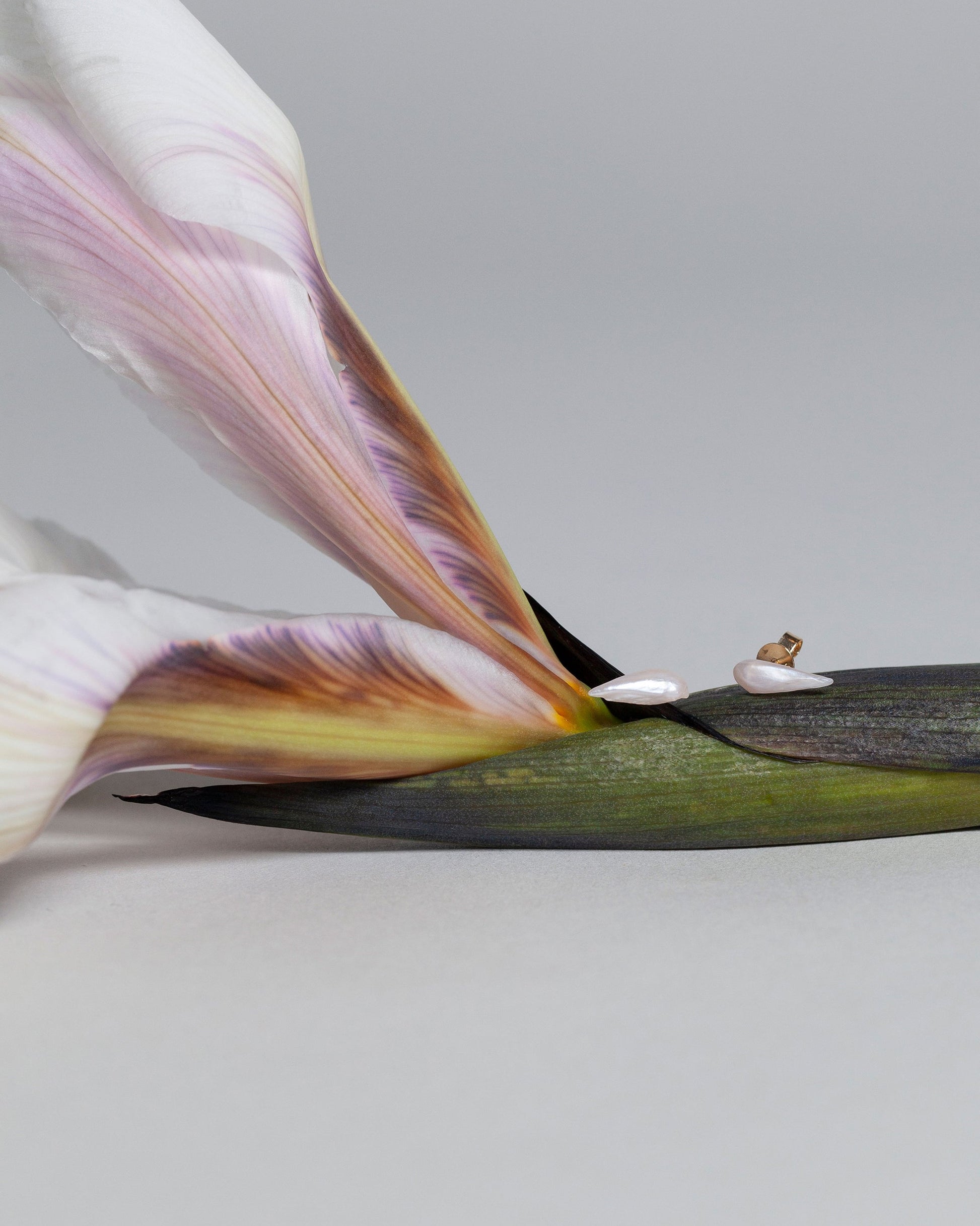 Wing Pearl Stud Earrings on light color background.