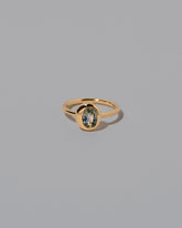 Oval Bicolor Sapphire Precise Ring on light color background.