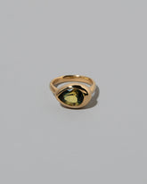 Bicolor Sapphire Grand Align Ring on light color background.