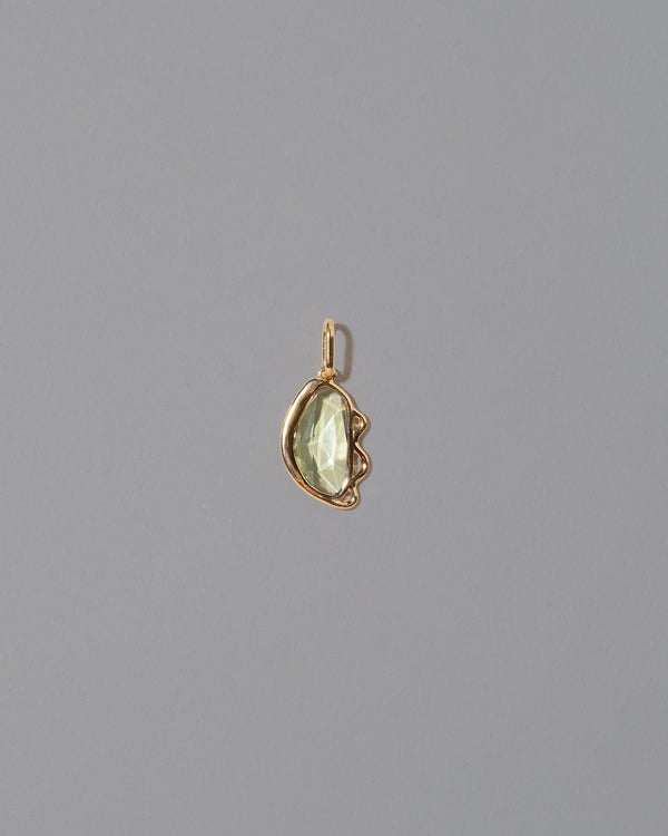 Abundance Pendant on light color background.