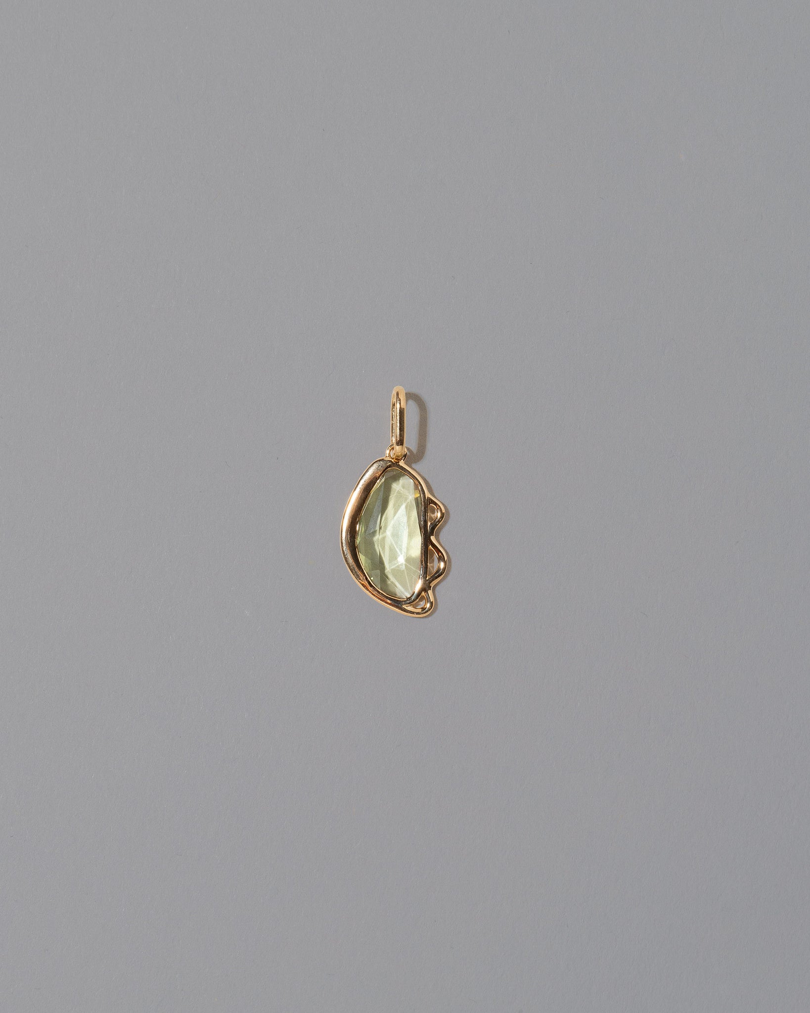 Abundance Pendant on light color background.