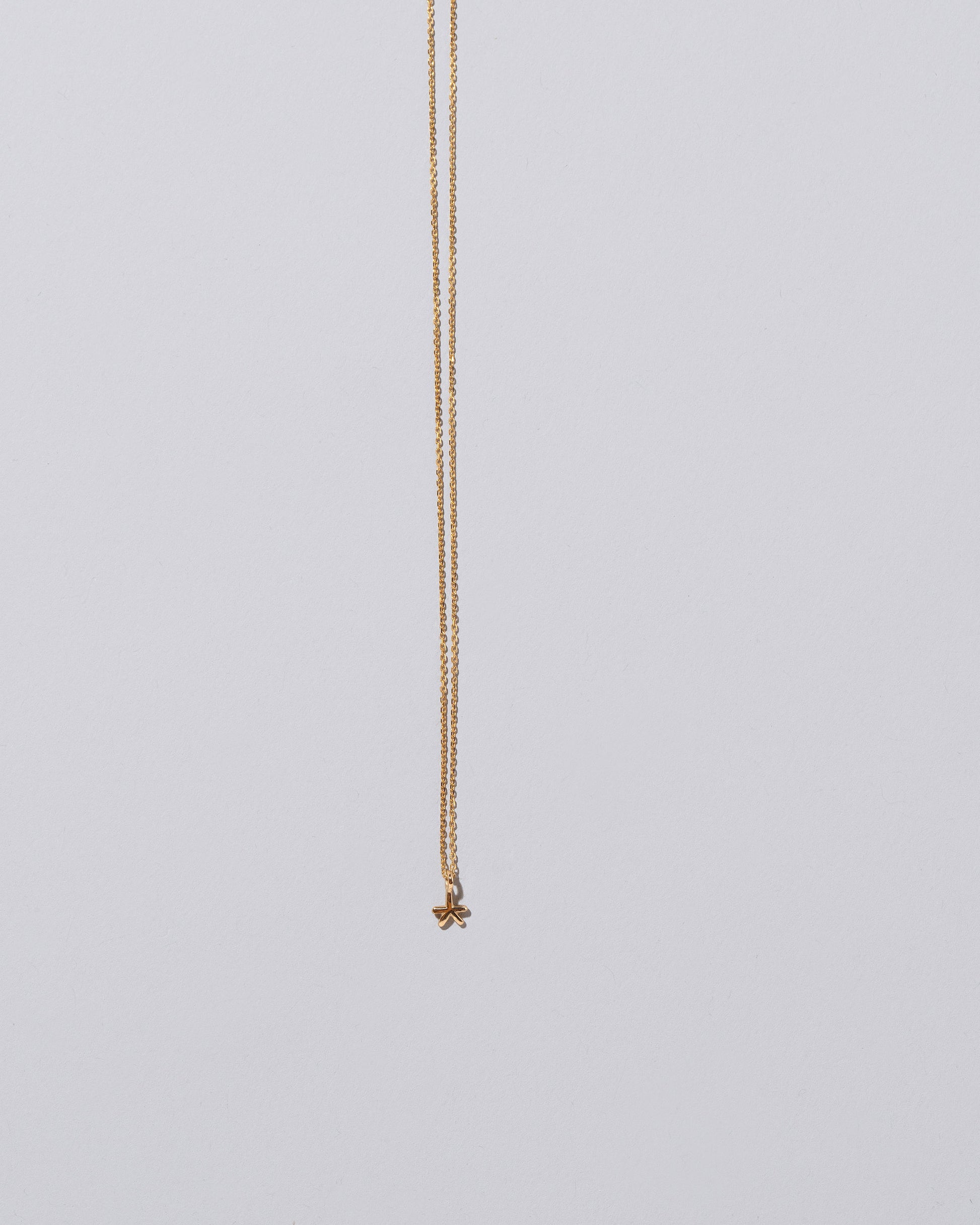 Star Talisman Pendant Necklace on light color background.