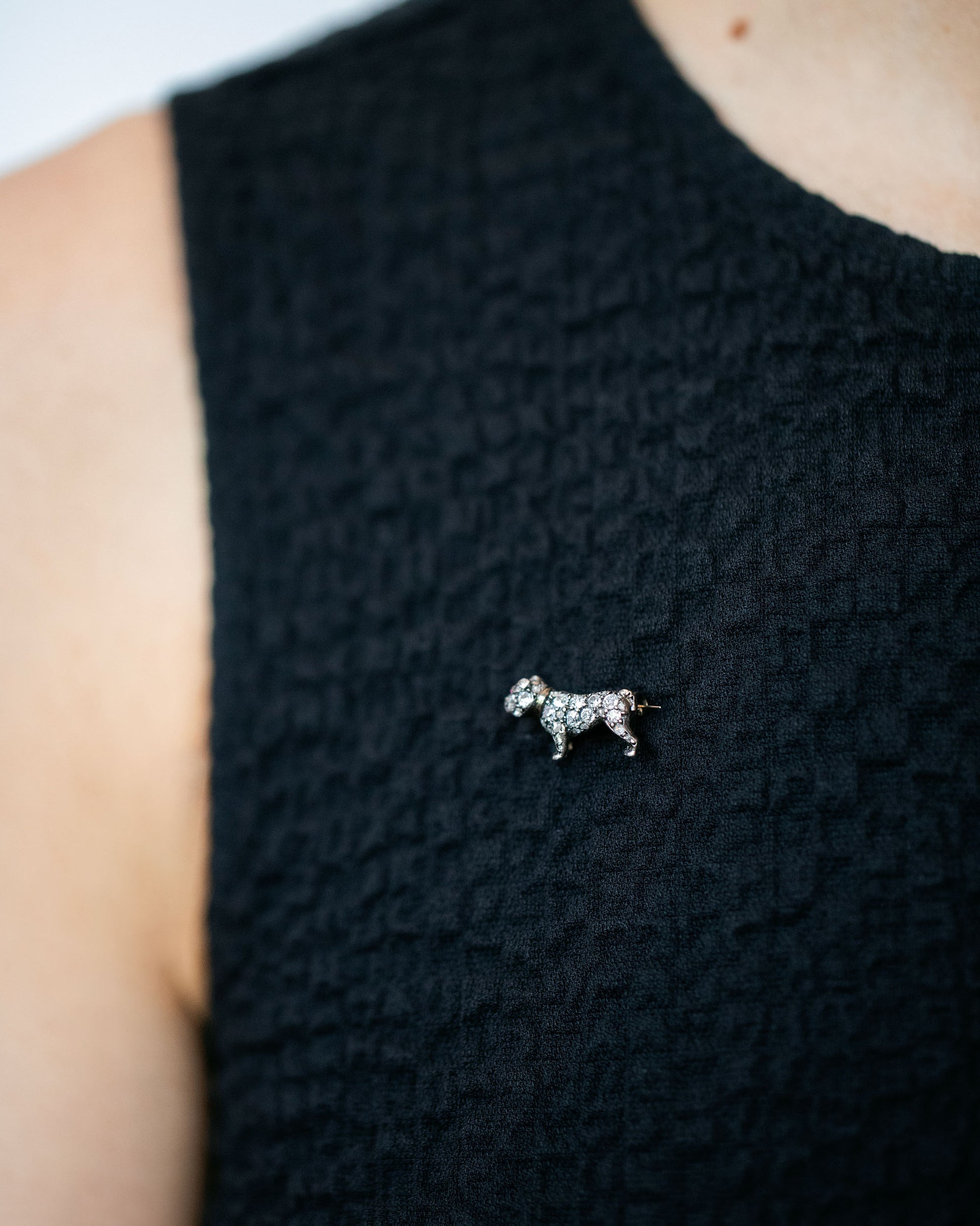 Antique Diamond & Ruby-Eyed English Bulldog Brooch on model.
