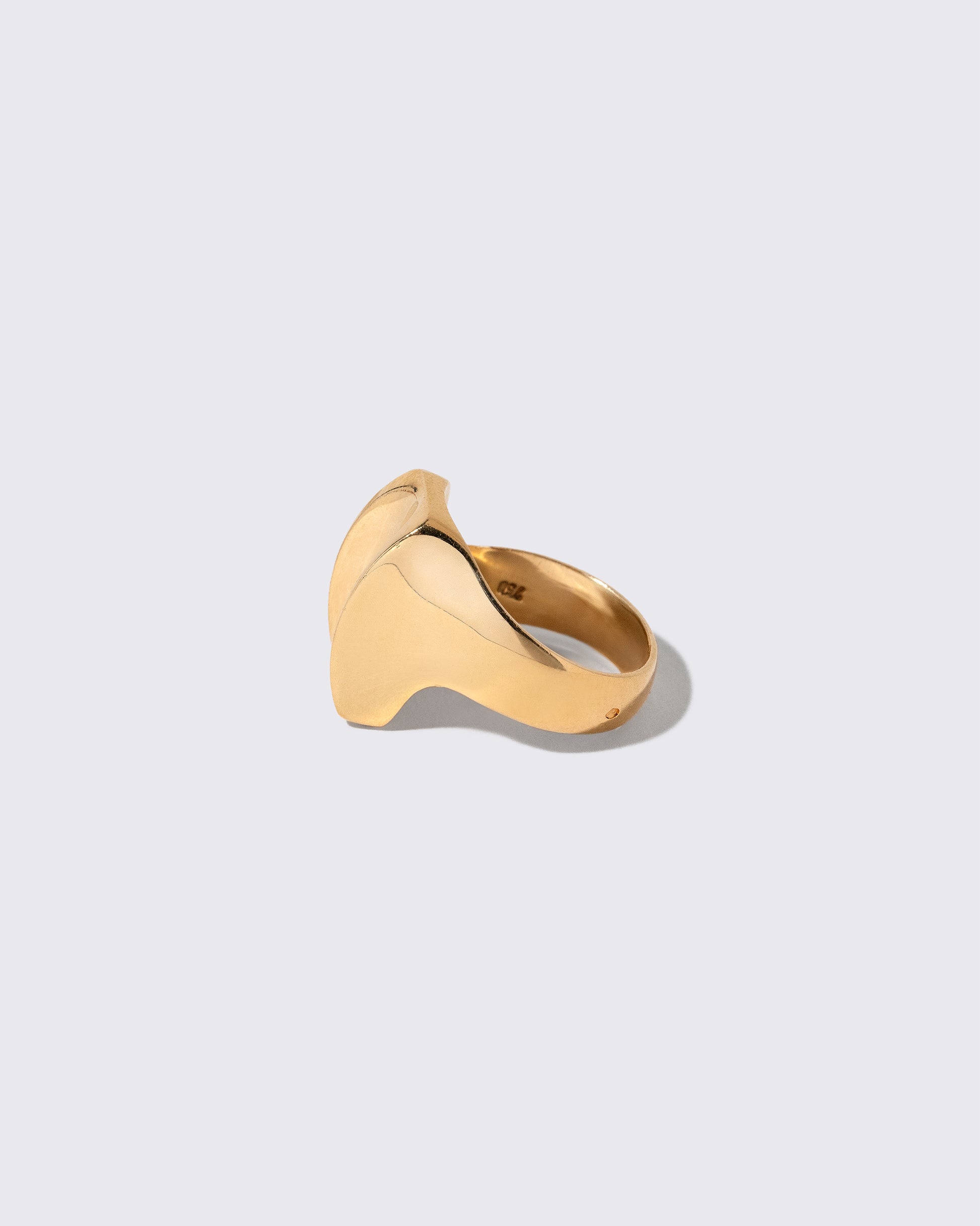 Detail view of the Vintage Gold Saddle Ring on light color background.