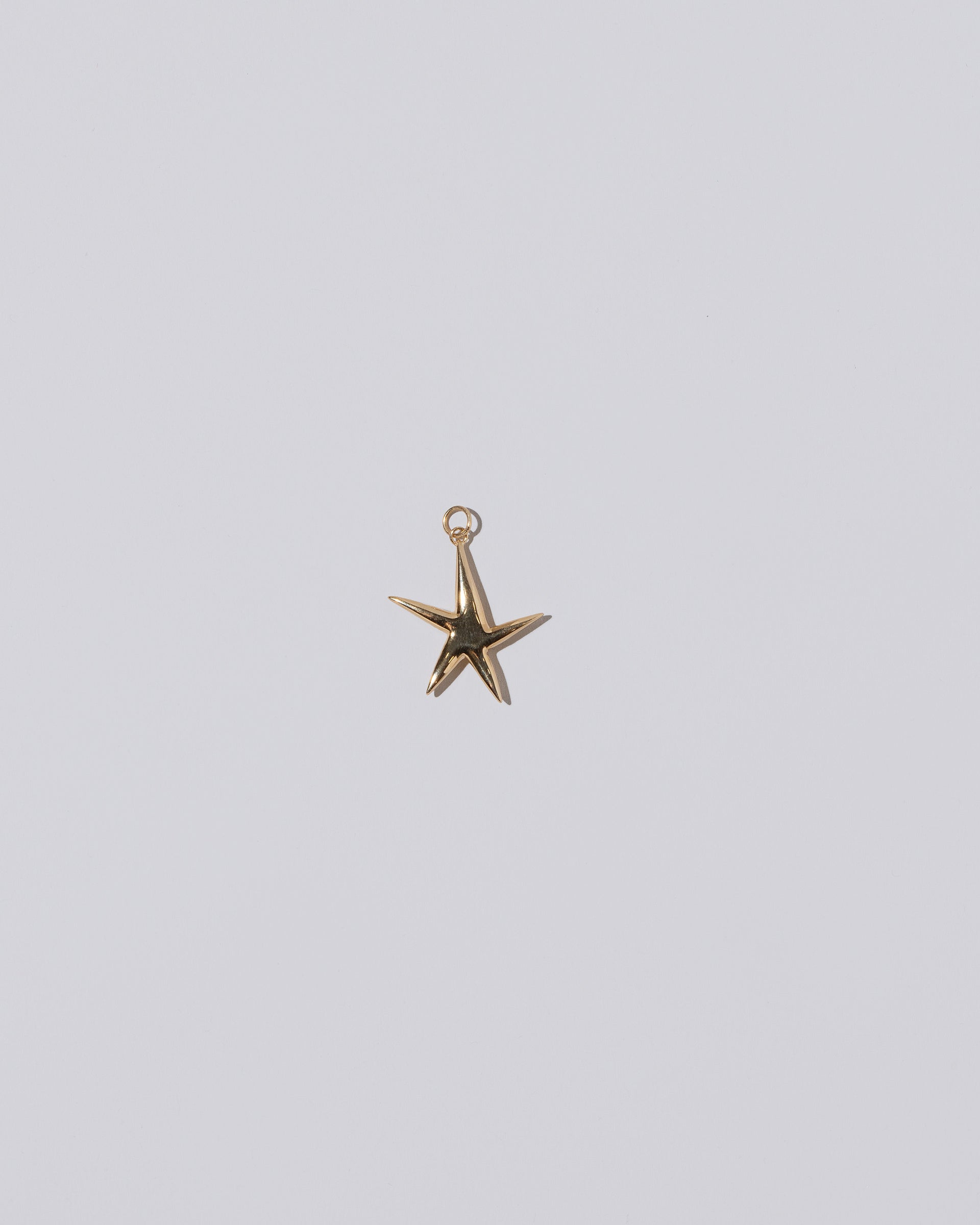 Wholesale Beebeecraft 5Pcs Starfish Charms 925 Sterling Silver Beach Sea  Stars Charm Pendants with Jump Rings 15x9.5x2mm for Summer Hawaii Bracelet  Necklace Choker Jewelry Making Supplies 