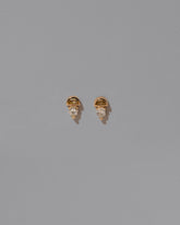 Delphinus Earrings on light color background.