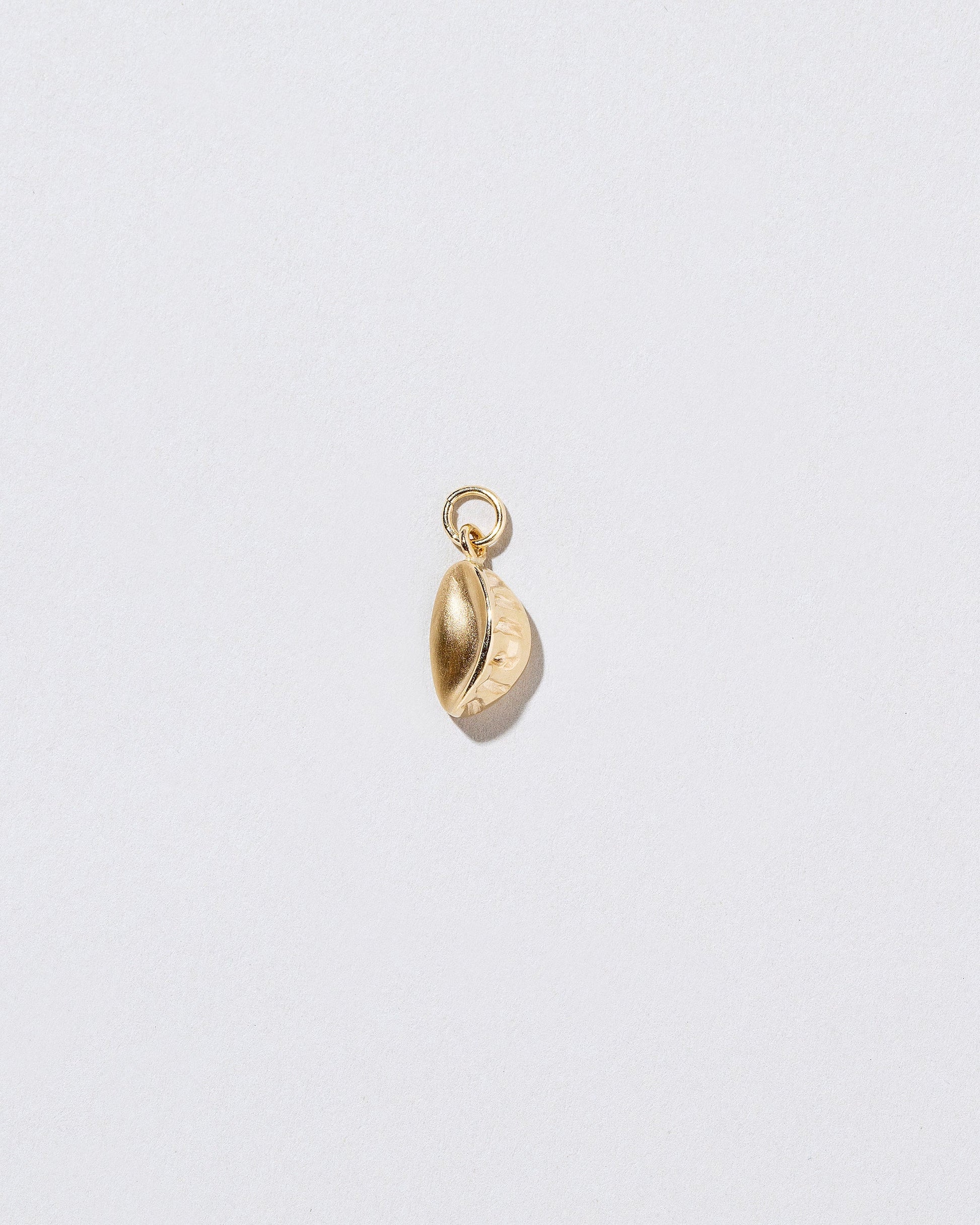 Steamed Dumpling Charm on light color background.