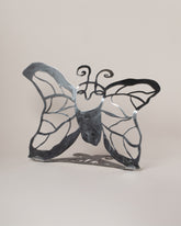 Lane Walkup Apotropaia Moth on light color background.
