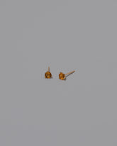 Petite Citrine Martini Stud Earrings on light color background.