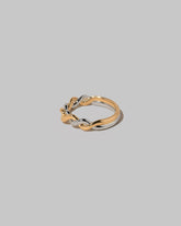 View from the side of the Two Tone Twist Band on light color background.
