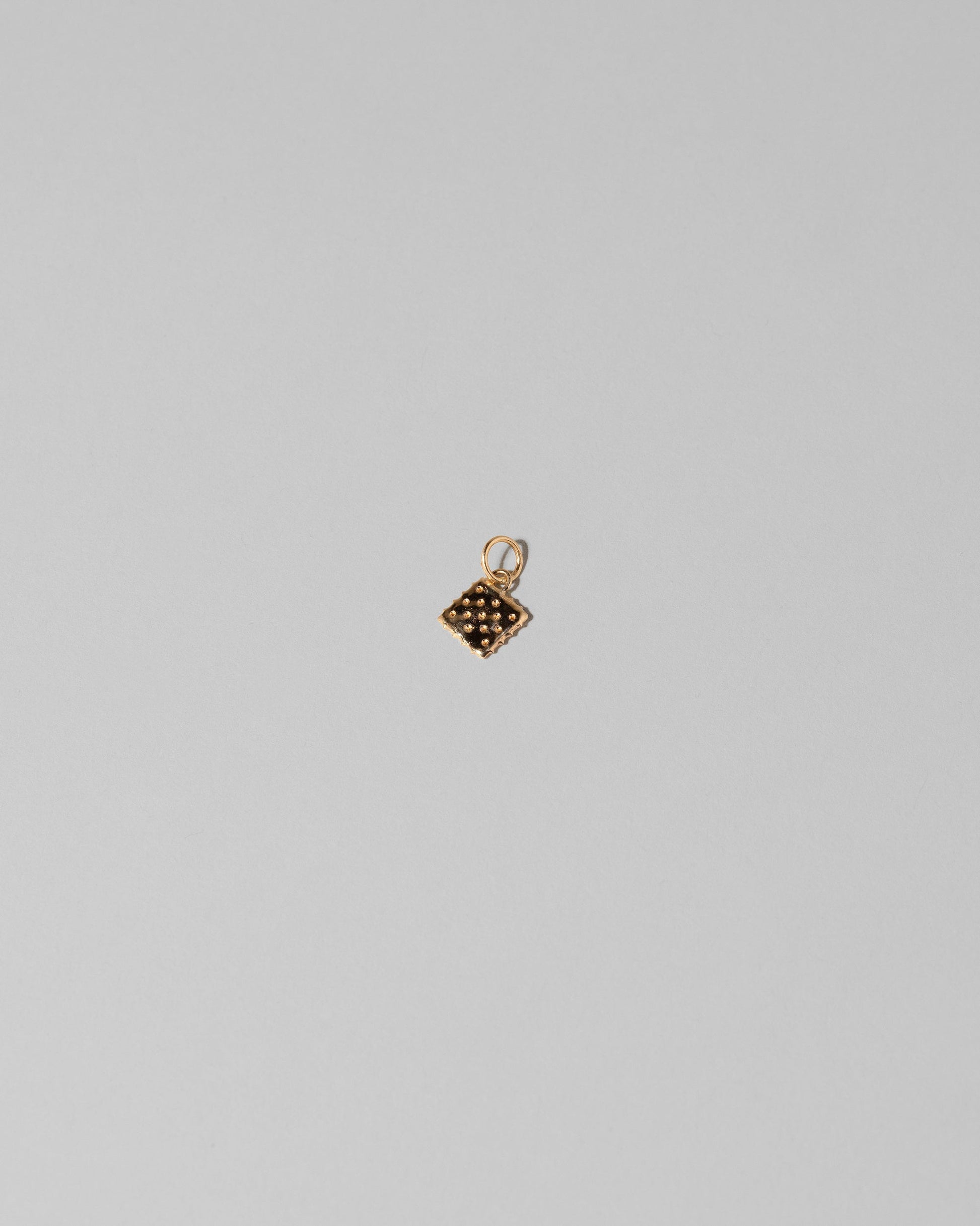 Saltine Cracker Charm on light color background.