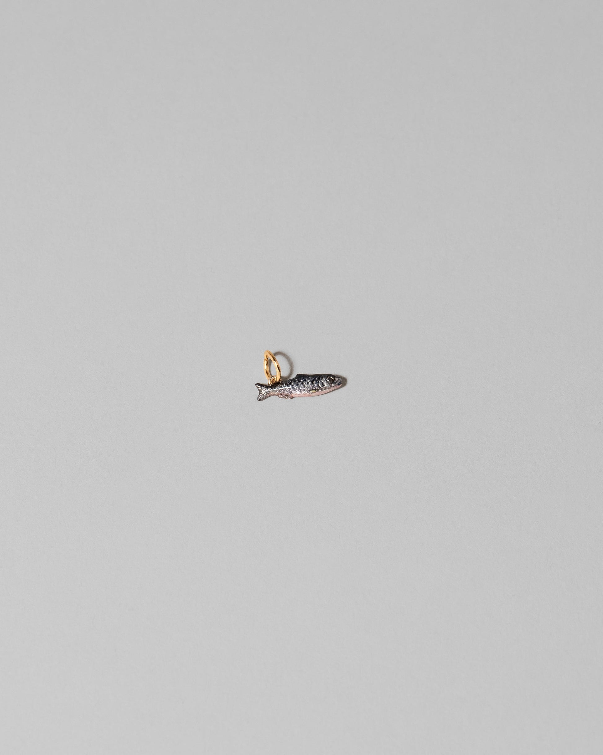 Sardine Charm on light color background.