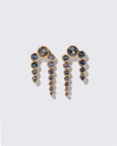 Passiflora Earrings on light color background.