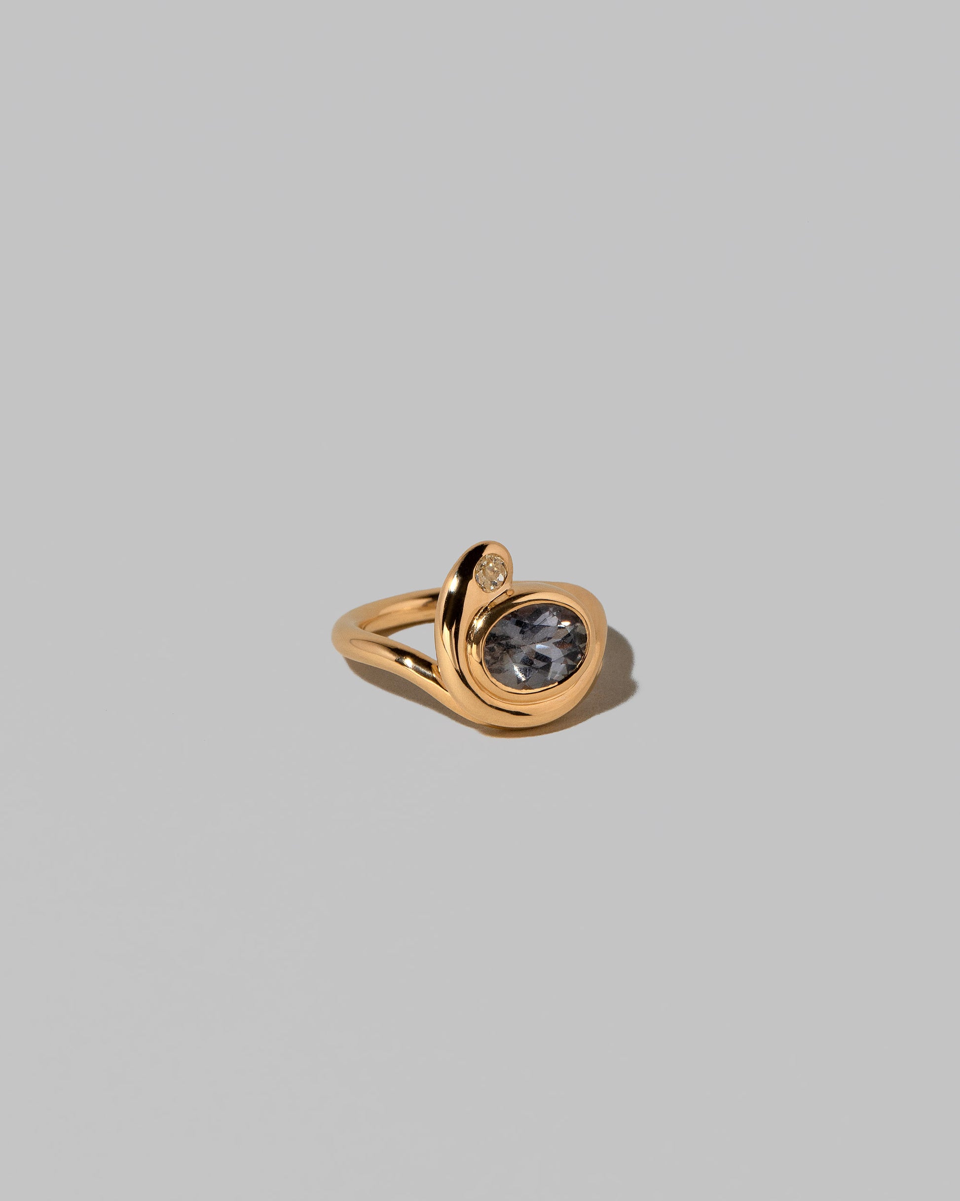 View from the side of the Ambrosina Ring on light color background.
