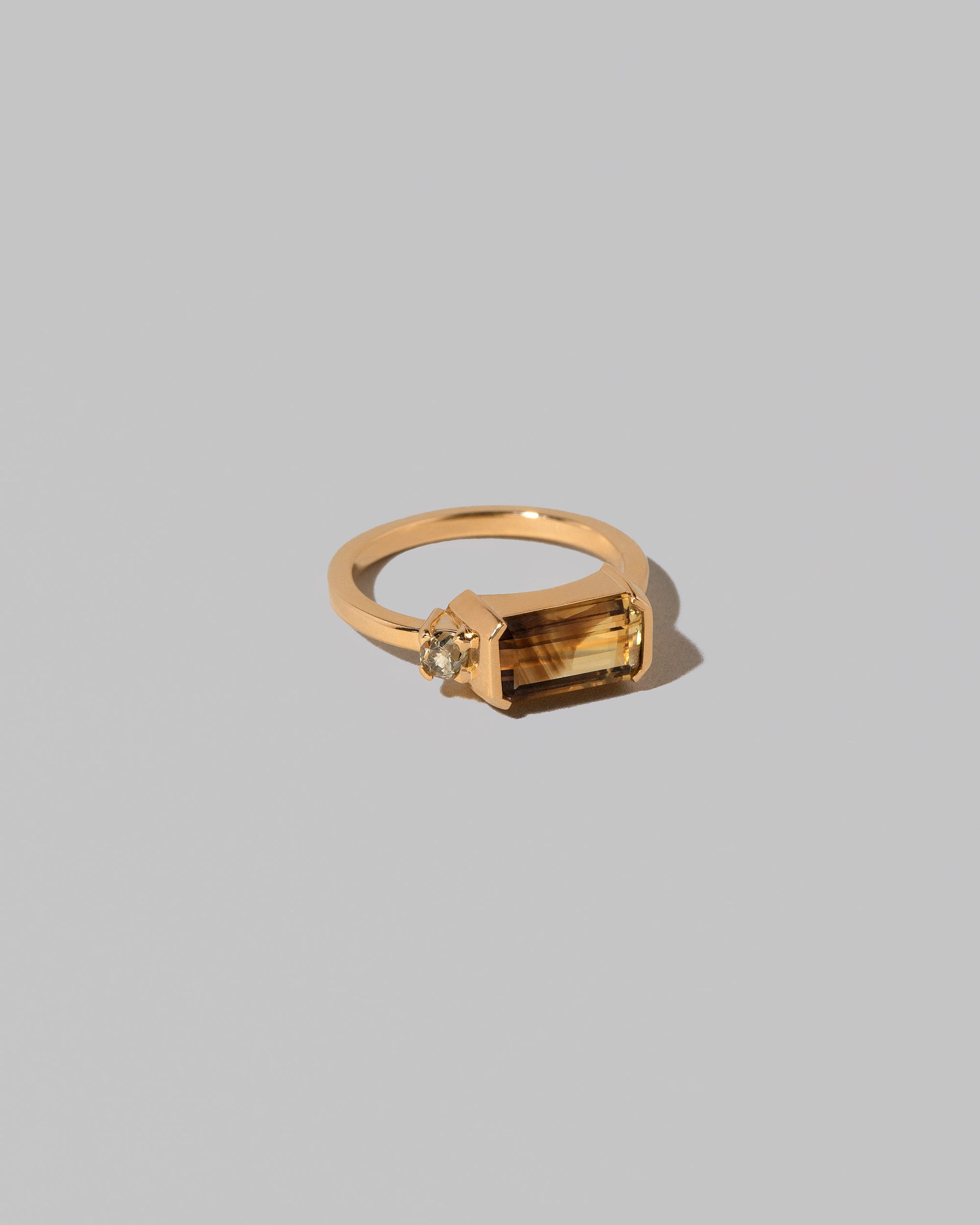 View from the side of the Ansellia Ring on light color background.