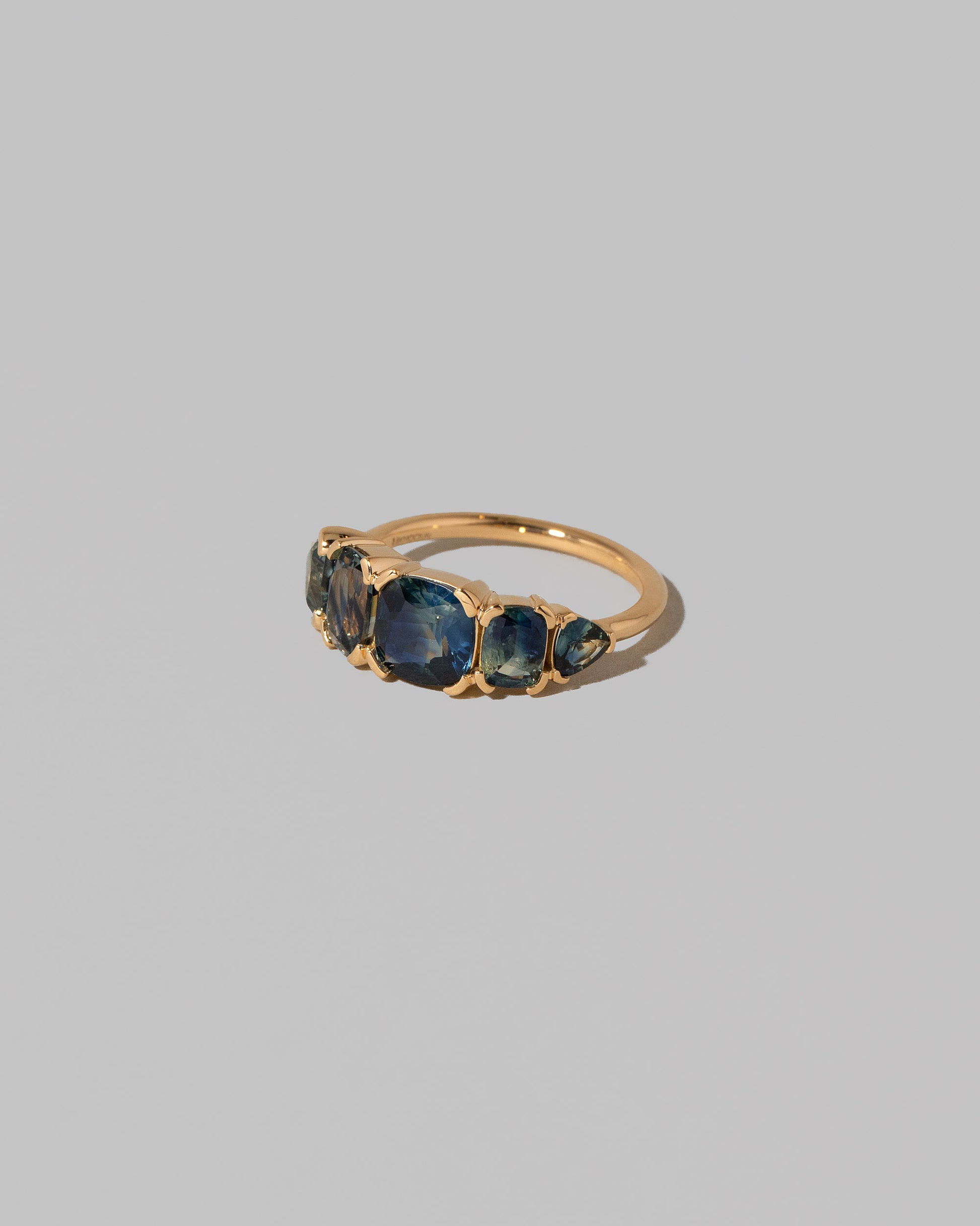 View from the side of the Delphinium Ring on light color background.