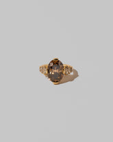 Calycanthus Ring on light color background.