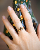 Tethys Ring on model.