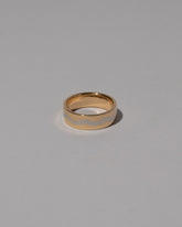 6mm Gold & Platinum Inlaid Band on light color background.