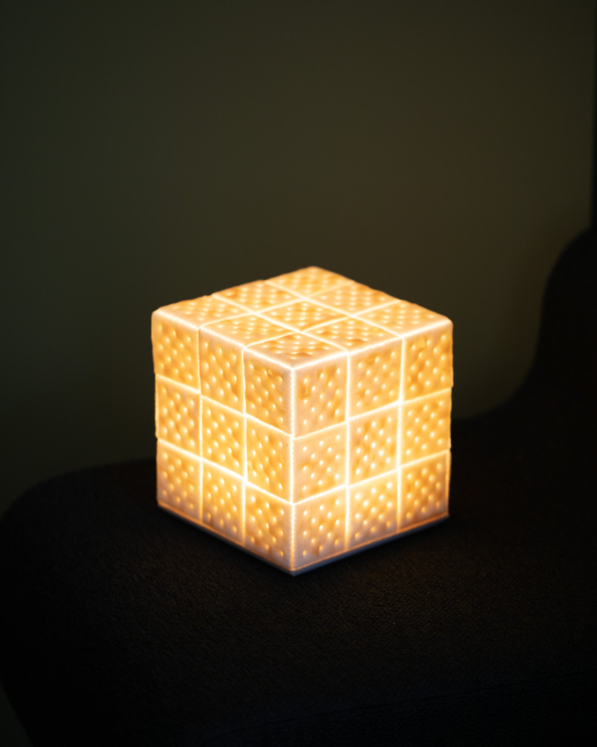 Detail view of the Pampshade Large For Your Pleasure Saltine Lamp on light color background.