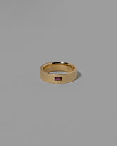 Gold Anthill Red Garnet East West 6mm Baguette-Set Piet Band on light color background.