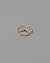 Oval Diamond Equalize Ring on light color background.