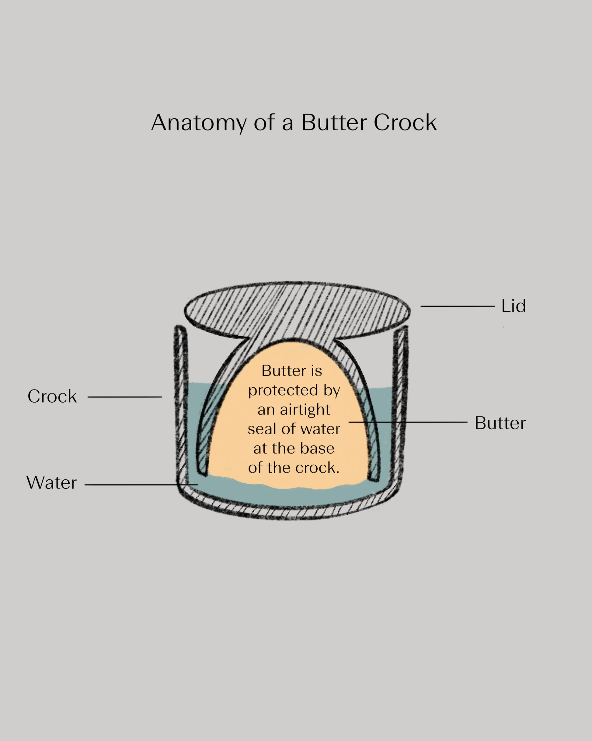 Infographic explaining the functionality of a Butter Crock, where butter is protected by an airtight seal of water at the base of the crock.