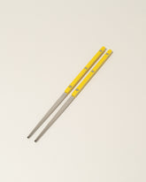 Sabre Paris Green Fern Chopsticks on light color background.