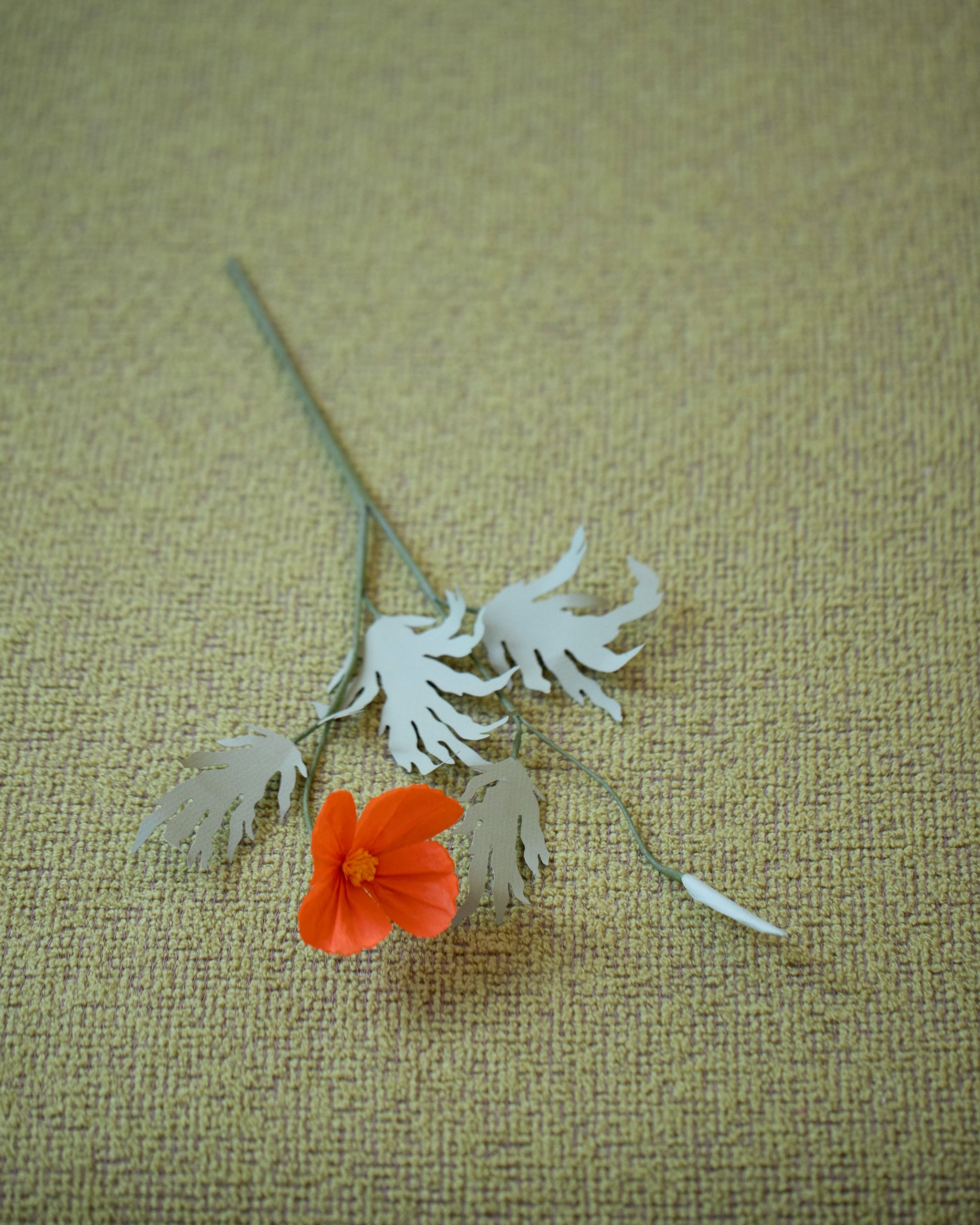 The Green Vase Paper California Poppy Stem on light color background.